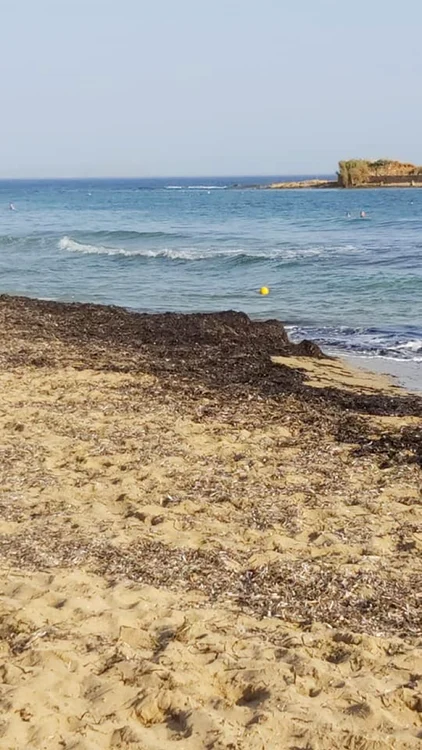 plaja