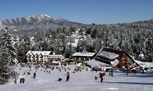 Revelion Predeal 1 785x430 jpg