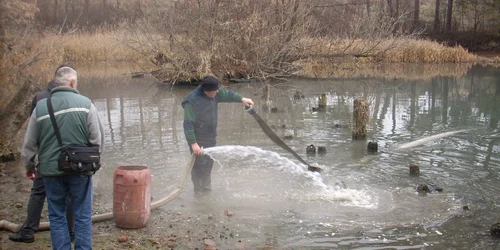 Custozii rezervaţiei au intervenit ca să salveze speciile periclitate de nivelul scăzut al apei din lac