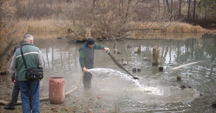 Custozii rezervaţiei au intervenit ca să salveze speciile periclitate de nivelul scăzut al apei din lac