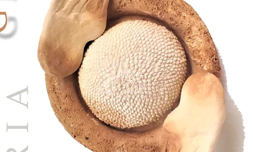 Aripi la cer Expoziție de ceramică la Galleria 28 jpeg