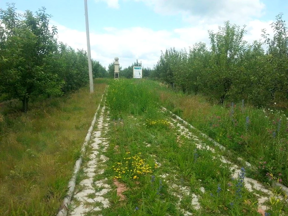 Monumentul se află într-o livadă de lângă satul Rudi, Soroca. Foto: Adevărul