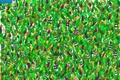 test1 jpeg