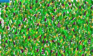 test1 jpeg