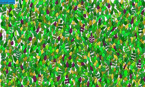 test1 jpeg