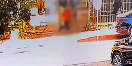 WhatsApp Video 2024 11 07 at 19 59 55 mp4 thumbnail png