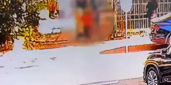 WhatsApp Video 2024 11 07 at 19 59 55 mp4 thumbnail png