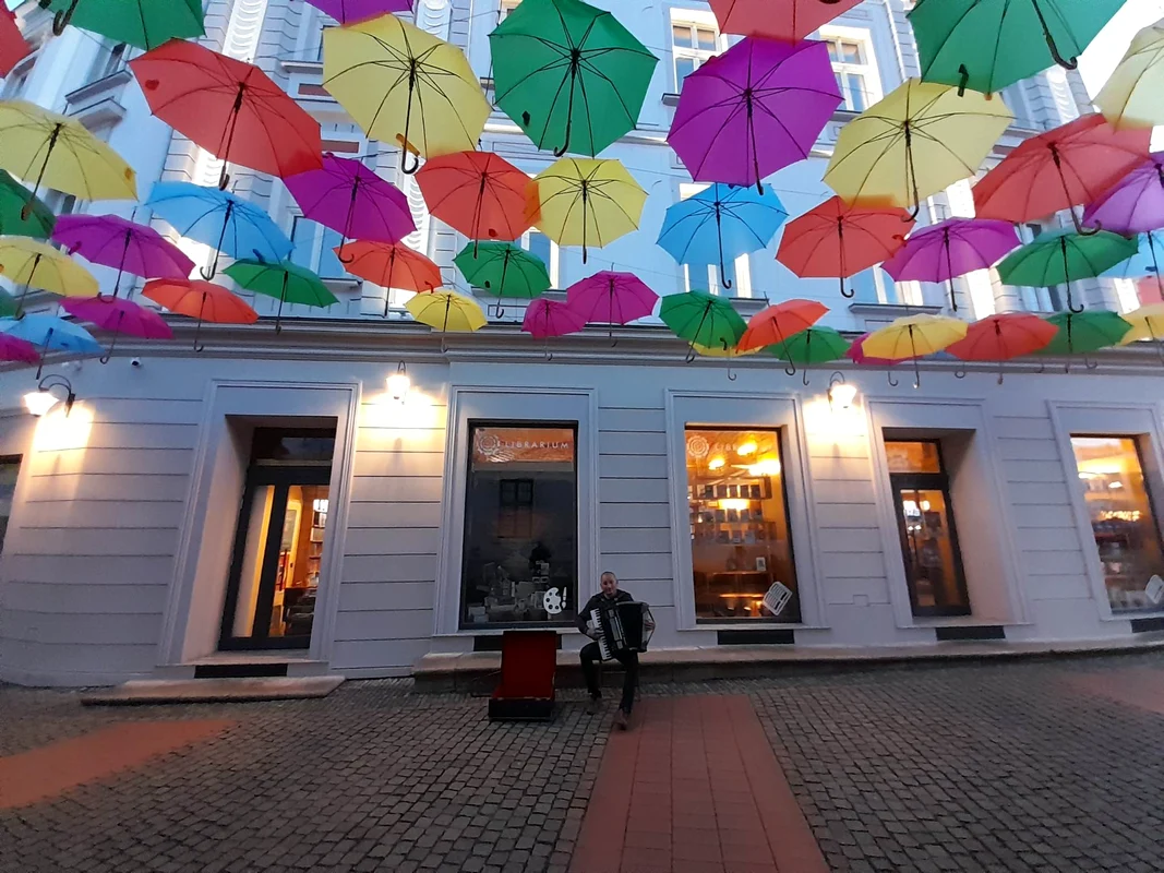 Strada Alba Iulia din Timișoara FOTO Ștefan Both