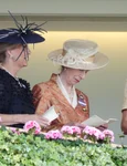 Ducesa Sophie, Prințesa Anne și Zara Tindall la Royal Ascot   profimedia 1111045523 jpg