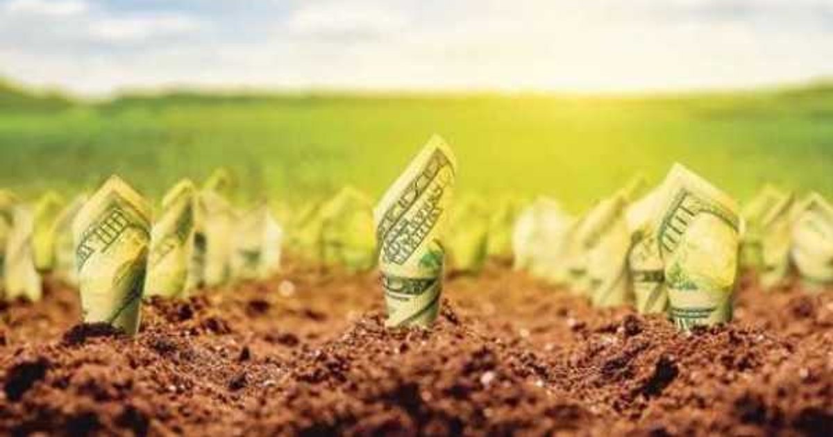 Consilierul APIA a falsificat documente pentru a ajuta o cunoștință să primească bani europeni.