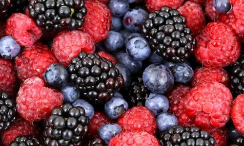 dieta cu fructe de padure click jpeg