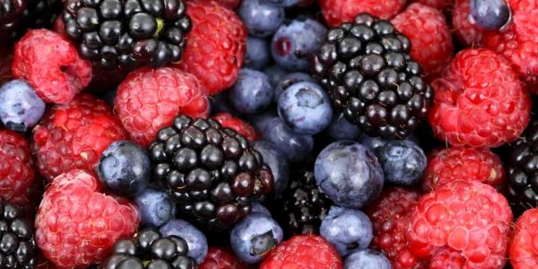 dieta cu fructe de padure click jpeg