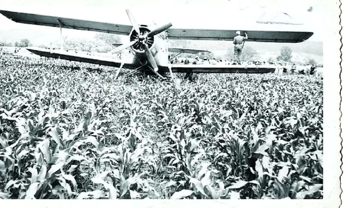 20 de români o şterg în Austria cu un avion utilitar! jpeg