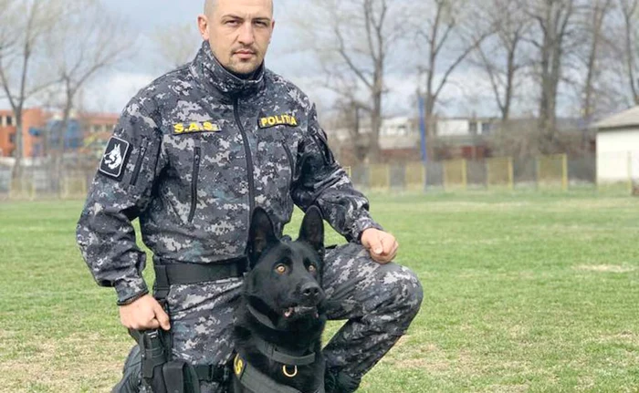 
    Alaf a absolvit ca șef de promoție școala de dresaj, de la Centrul Chinologic Sibiu  