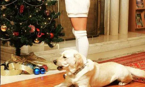 15 catalina ponor de craciun sexy sarah brad 5 jpg jpeg