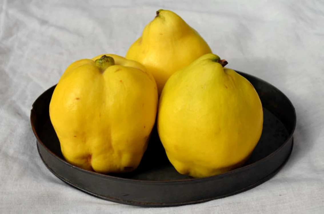 gutui