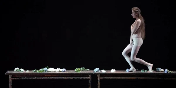 Lohengrin SIlviu urcarete ONB