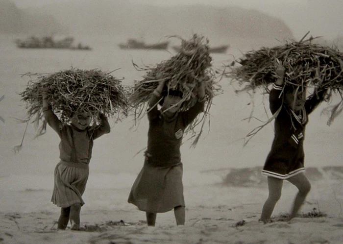 Insula Hahtae, Shinan, Jeollanam-Do Province, 1972
