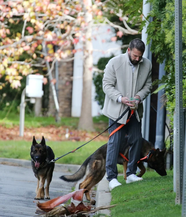 Ben Affleck și a luat al doilea câine de pază, Foto Profimedia (3) jpg