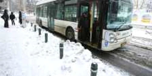 Autobuz