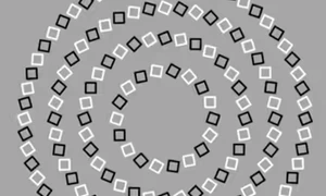 iluize optica patrate albne negre jpg