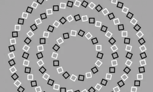 iluize optica patrate albne negre jpg