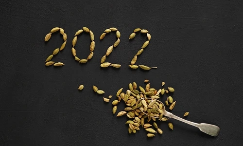 1 shutterstock 2066096555 jpg jpeg