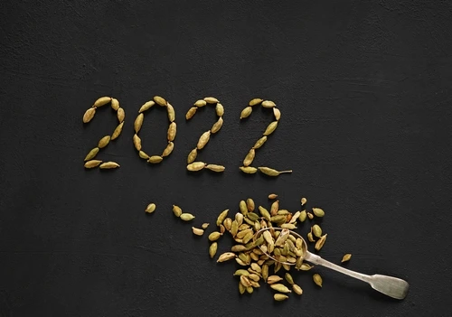 1 shutterstock 2066096555 jpg jpeg