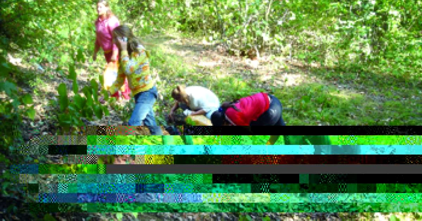 Arad: În căutarea lacrimilor Maicii Domnului, la Radna
