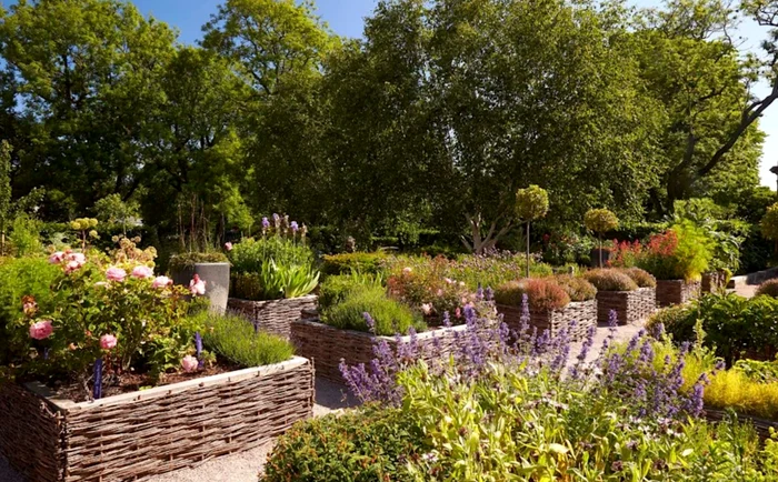 Gradina Palatului scoțian PNG