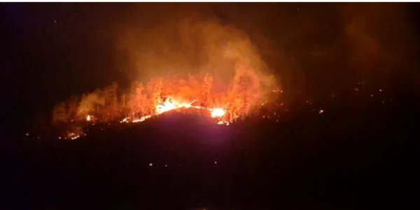 sibiu incendiu