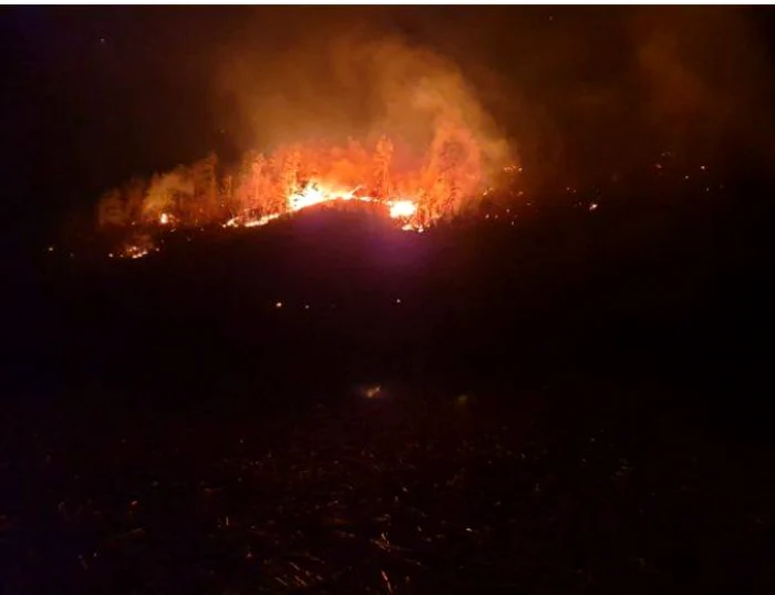 Incendiul a mistuit hectare întregi de pădure. FOTO: Turnul Sfatului