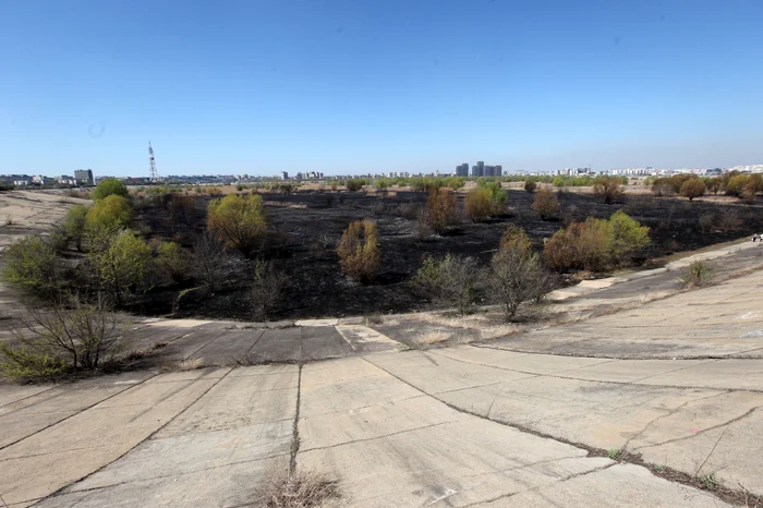 Incendiul este cel mai grav din ultimii 16 ani. Foto: Sever Gheorghe