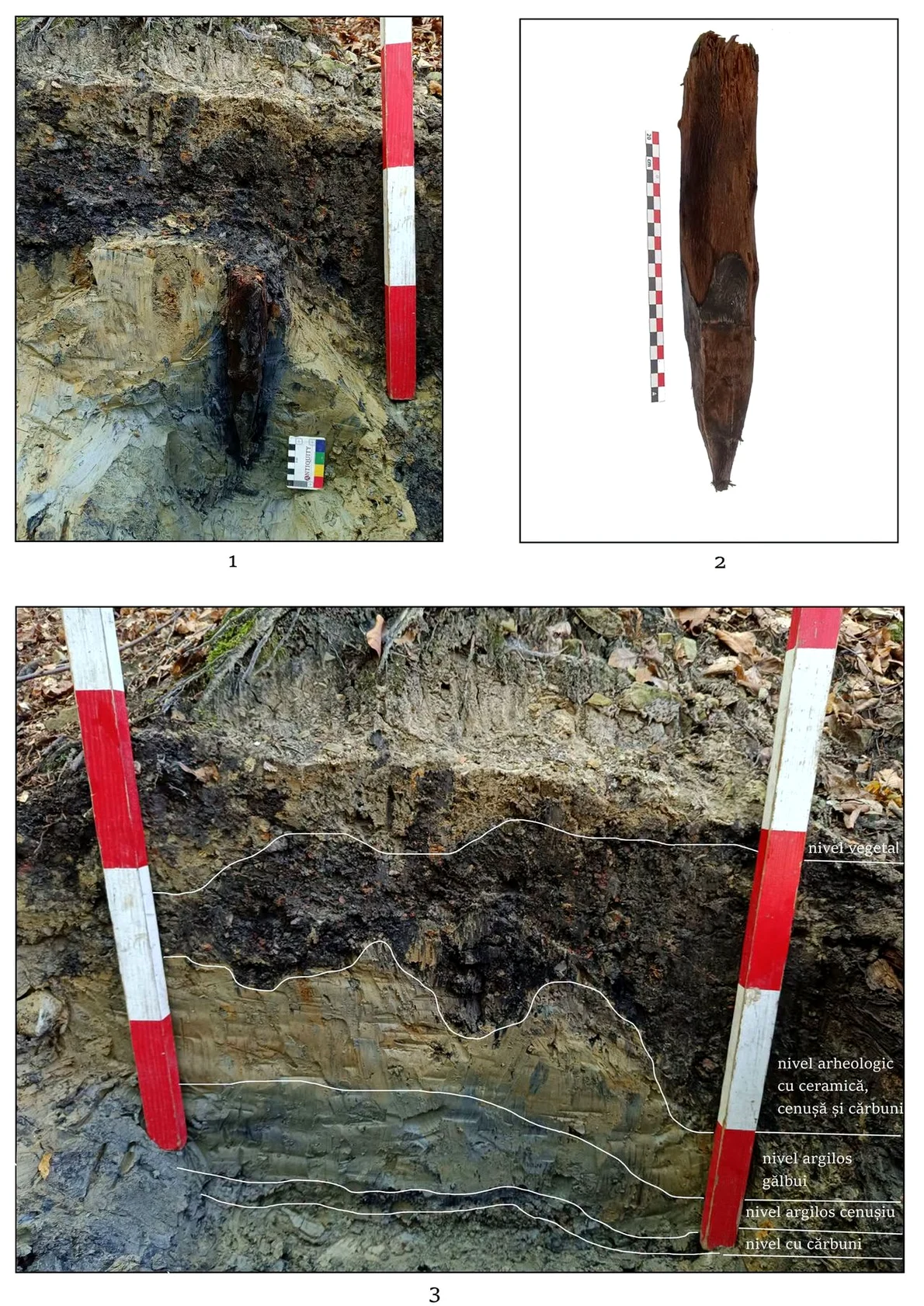 Cercetări arheologice la Tazlău, județul Neamț (© Facebook / Vasile Diaconu – archaeologist)