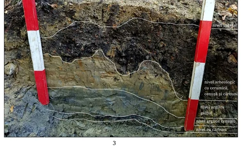 Cercetări arheologice la Tazlău, județul Neamț (© Facebook / Vasile Diaconu – archaeologist)