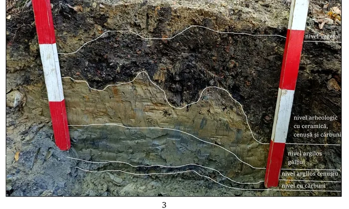 Cercetări arheologice la Tazlău, județul Neamț (© Facebook / Vasile Diaconu – archaeologist)