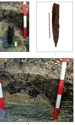 Cercetări arheologice la Tazlău, județul Neamț (© Facebook / Vasile Diaconu – archaeologist)