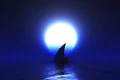 sailboat illuminated by moon jpg