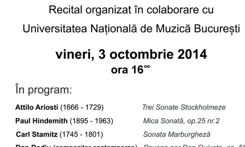 Viola d’amore @Muzeul Național al Țăranului Român jpeg