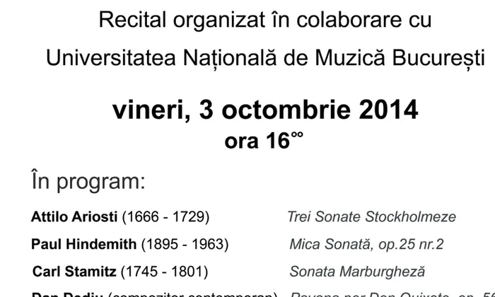 Viola d’amore @Muzeul Național al Țăranului Român jpeg