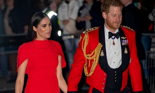 1 profimedia 0504391793 jpg jpeg