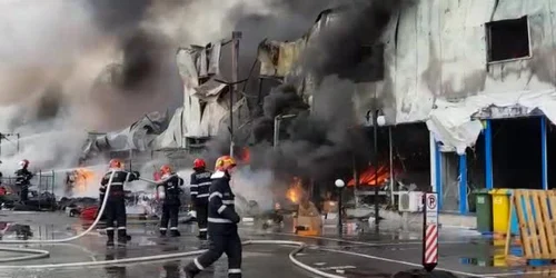 5cd01f3d445219c57e4e0a01 jpg