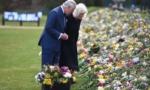 1 profimedia 0605670896 jpg jpeg