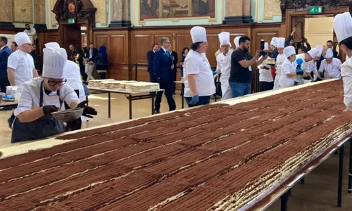 tiramisu1 jpeg