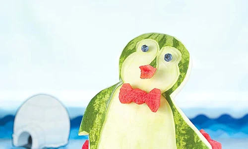 Pinguin jpeg