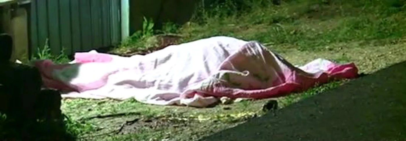 Bărbatul de 82 de ani a murit pe loc în urma unei lovituri de topor