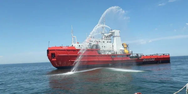 arsvom nave