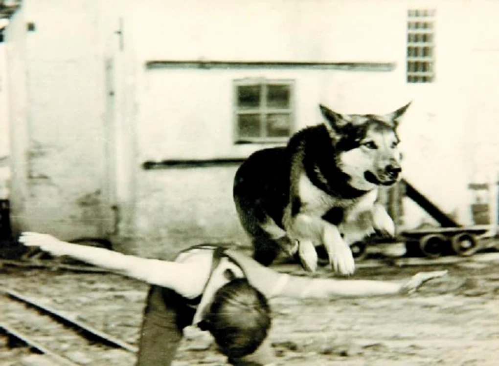 Kalo 