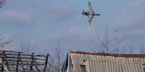 profimedia 0849171483 jpg