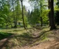 Săvârșin